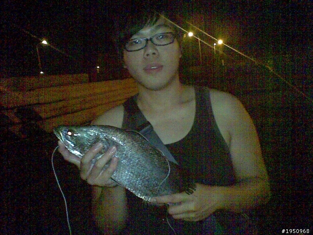 (好久沒發文+近兩個月漁獲XDDDD)南寮漁港總算對我開恩