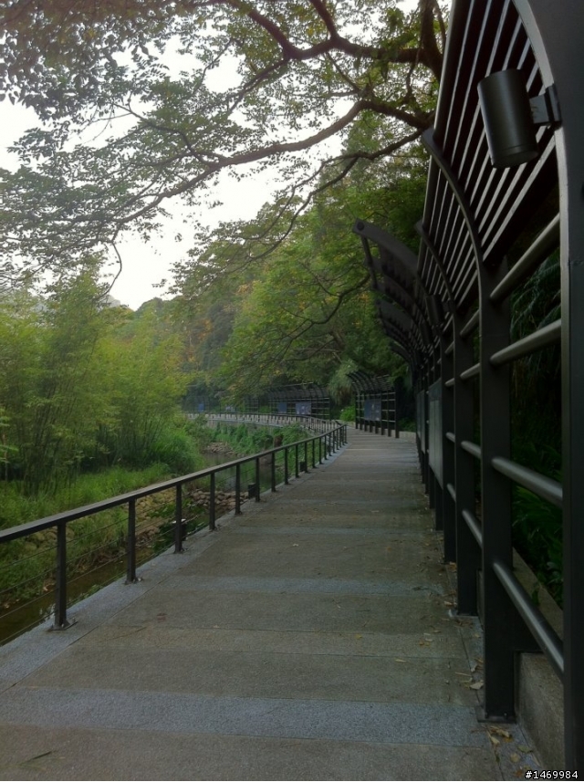 頭寮生態步道