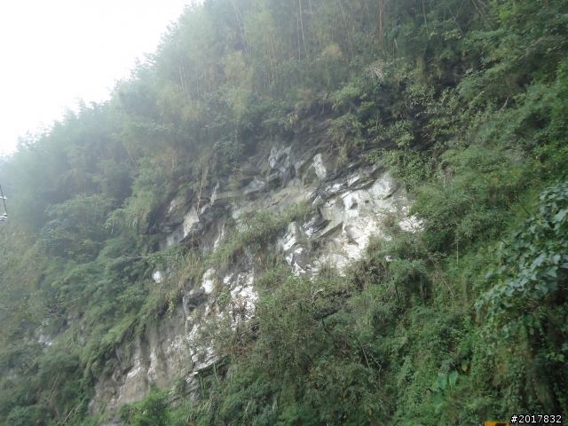 10/23-10/24阿里山之戀(龍銀山步道-祝山日出-對高岳步道)