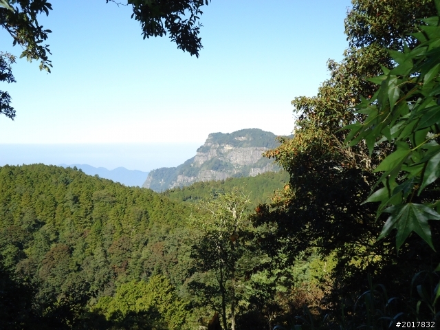 10/23-10/24阿里山之戀(龍銀山步道-祝山日出-對高岳步道)