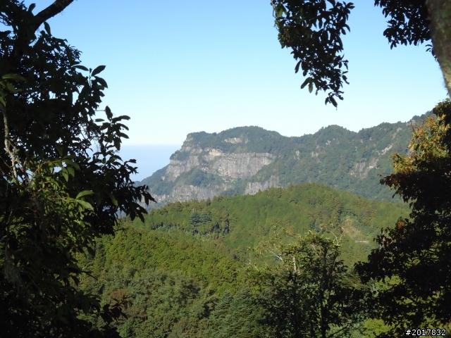 10/23-10/24阿里山之戀(龍銀山步道-祝山日出-對高岳步道)