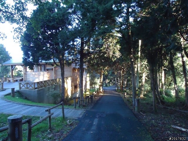 10/23-10/24阿里山之戀(龍銀山步道-祝山日出-對高岳步道)