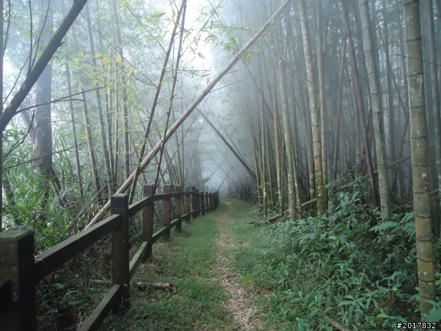 10/23-10/24阿里山之戀(龍銀山步道-祝山日出-對高岳步道)