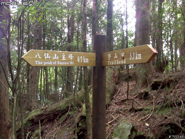 [分享]谷關七雄-八仙山