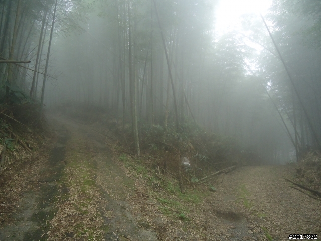 10/23-10/24阿里山之戀(龍銀山步道-祝山日出-對高岳步道)