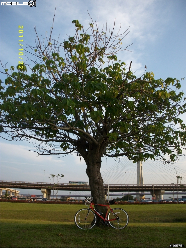 PUMA在二重水漾公園