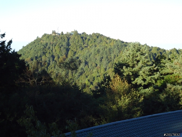 10/23-10/24阿里山之戀(龍銀山步道-祝山日出-對高岳步道)