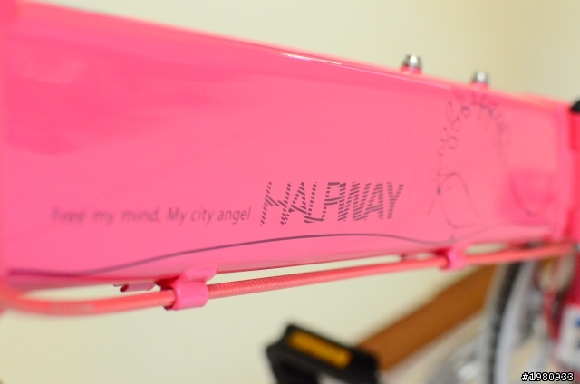 不專業開箱文~~捷安特HALFWAY S7 桃紅色版!!