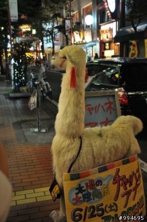 熱血...充滿回憶之日本機車旅行