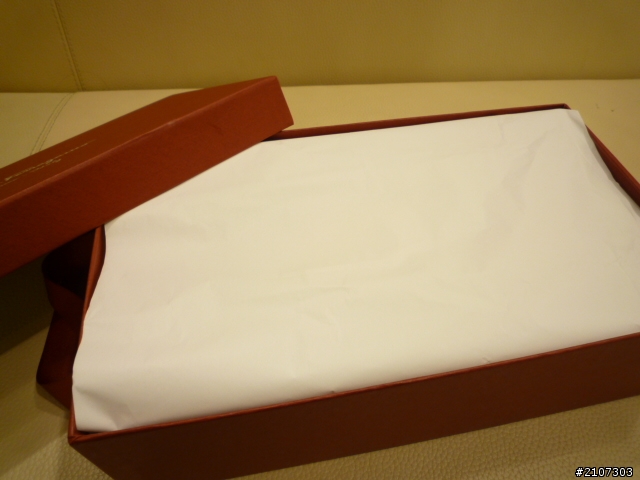 《開箱》Salvatore Ferragamo小紅鞋