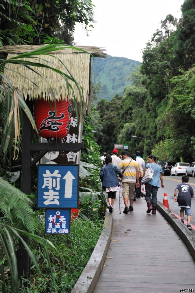 [分享]  初訪 溪頭妖怪村, 內湖森林國小 , 車埕車站(搭火車)