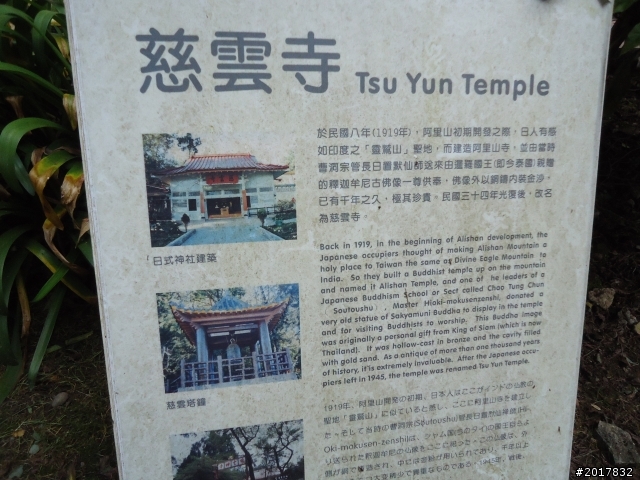 10/23-10/24阿里山之戀(龍銀山步道-祝山日出-對高岳步道)
