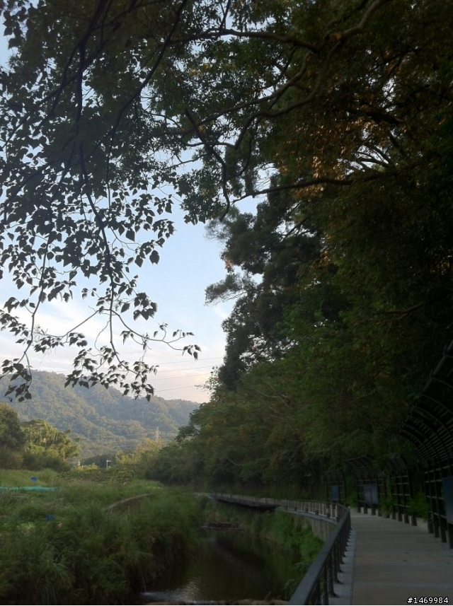 頭寮生態步道