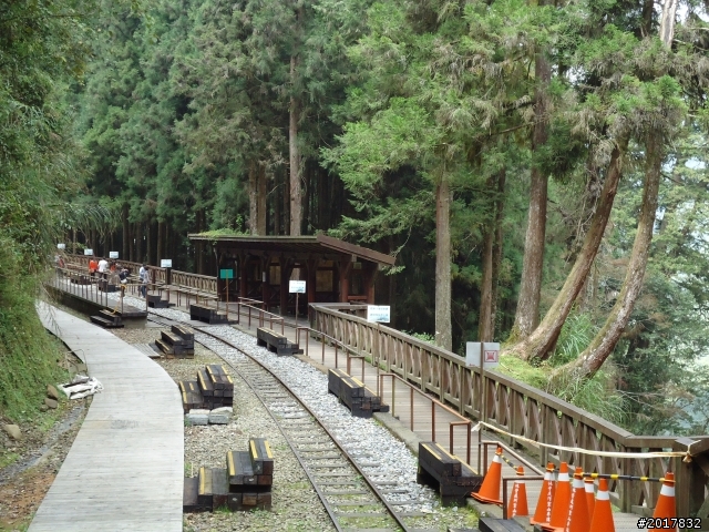 10/23-10/24阿里山之戀(龍銀山步道-祝山日出-對高岳步道)