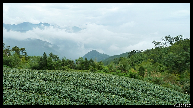 2011.10.16_騎車健行趣-太平至奉天岩煮午餐！