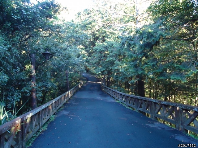 10/23-10/24阿里山之戀(龍銀山步道-祝山日出-對高岳步道)