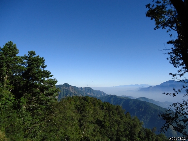 10/23-10/24阿里山之戀(龍銀山步道-祝山日出-對高岳步道)