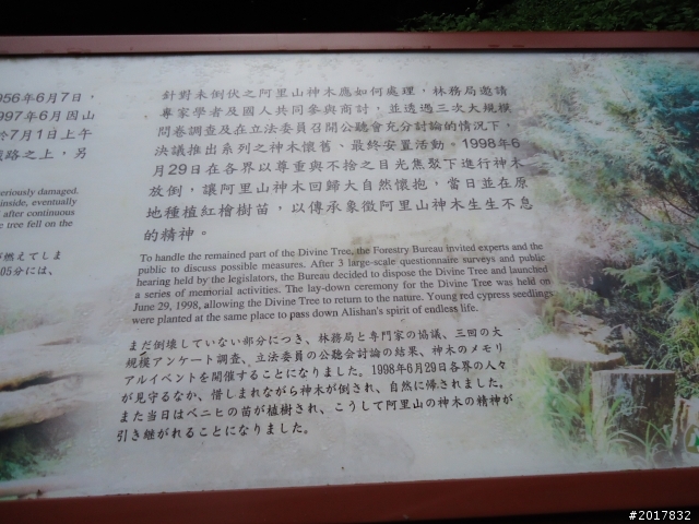 10/23-10/24阿里山之戀(龍銀山步道-祝山日出-對高岳步道)