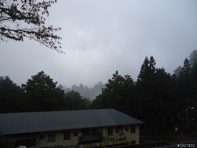 10/23-10/24阿里山之戀(龍銀山步道-祝山日出-對高岳步道)