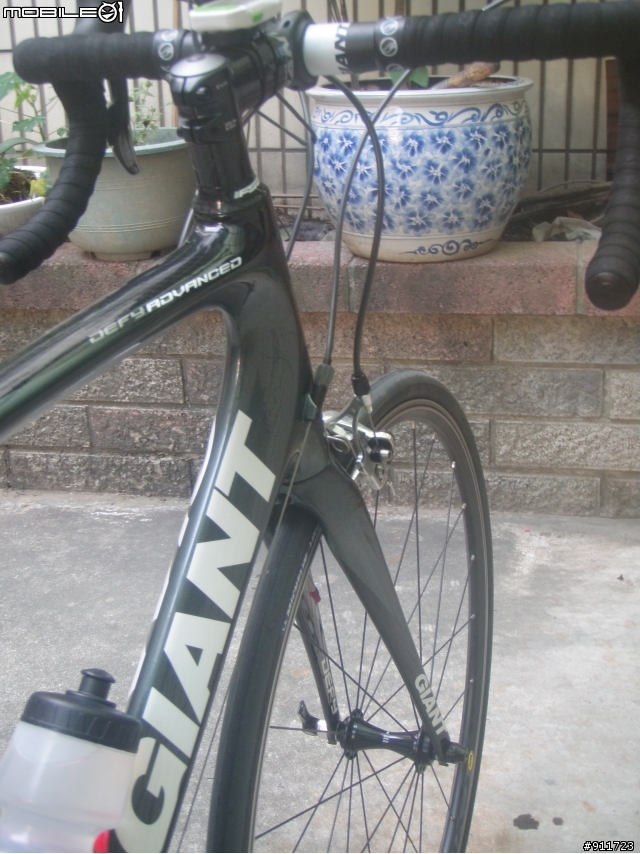 大尺寸俱樂部--我的 Giant Defy Advanced 3外銷版 L號