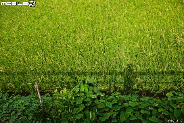 【分享】Panasonic Lumix G X Vario PZ 14-42mm/F3.5-5.6