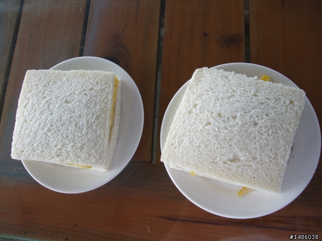 日昇之鄉，忘憂之旅