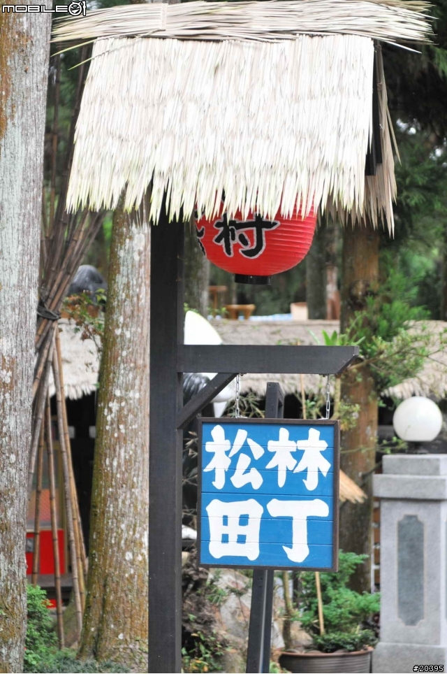 [分享]  初訪 溪頭妖怪村, 內湖森林國小 , 車埕車站(搭火車)