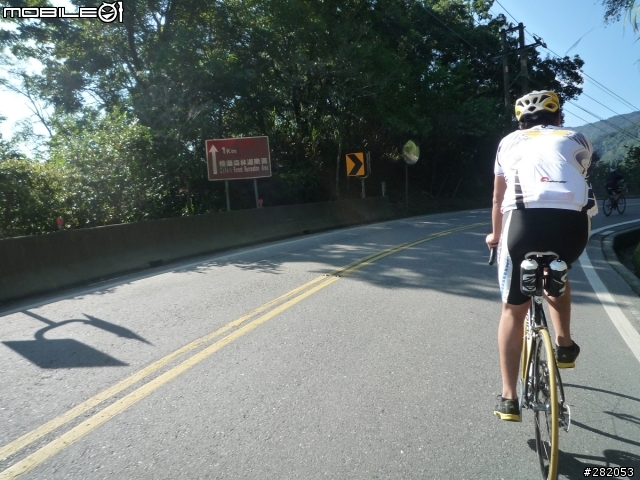 檜木之鄉 沿途隨手拍~