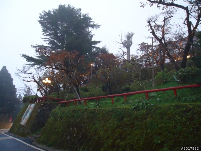 10/23-10/24阿里山之戀(龍銀山步道-祝山日出-對高岳步道)