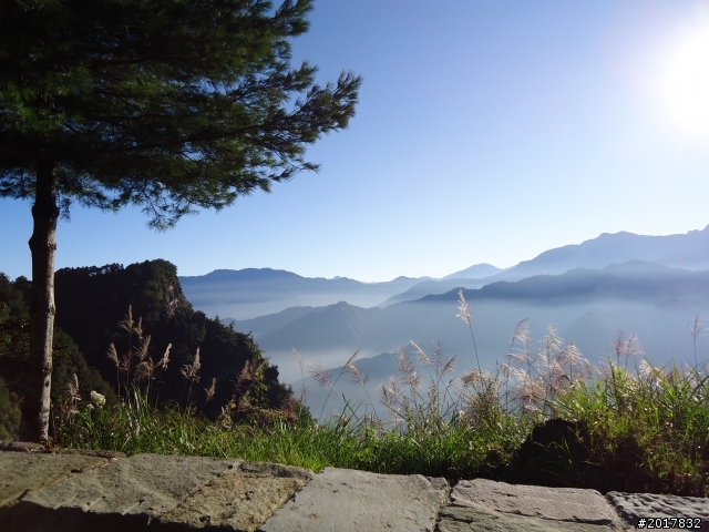10/23-10/24阿里山之戀(龍銀山步道-祝山日出-對高岳步道)
