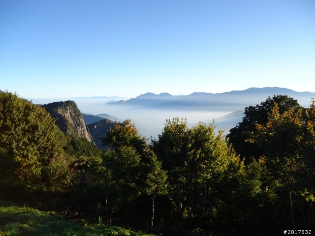 10/23-10/24阿里山之戀(龍銀山步道-祝山日出-對高岳步道)