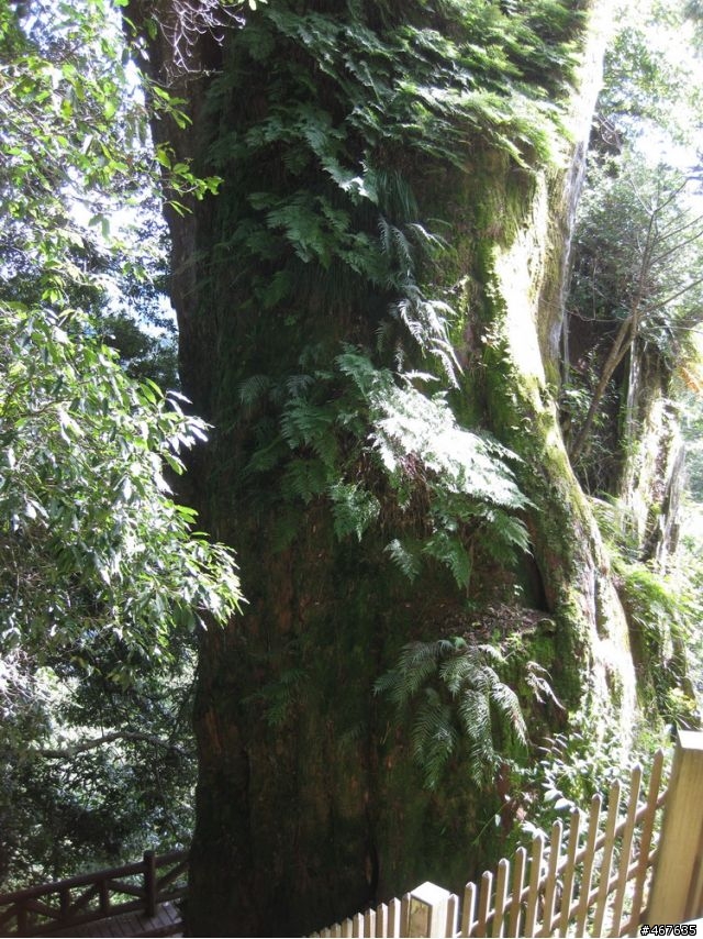 2011-10-01 塔塔加之旅
