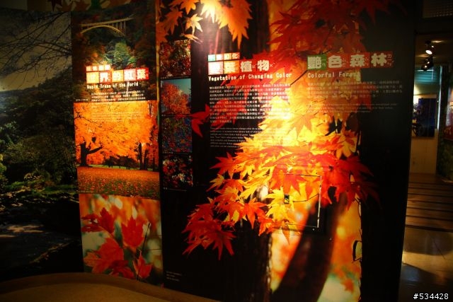 [攻略] 挑戰世界的屋脊 戰敗了..............