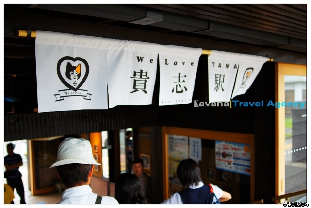 [日本旅遊]和歌山:貴志川線看草莓、玩具、貓列車&貓站長TAMA!