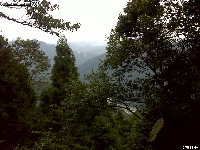 [分享]谷關七雄-八仙山