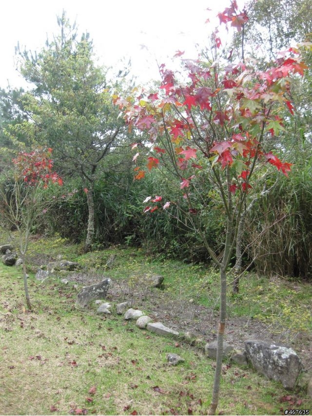 2011-10-01 塔塔加之旅