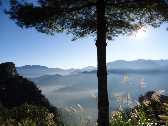 10/23-10/24阿里山之戀(龍銀山步道-祝山日出-對高岳步道)