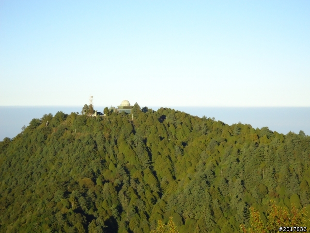 10/23-10/24阿里山之戀(龍銀山步道-祝山日出-對高岳步道)