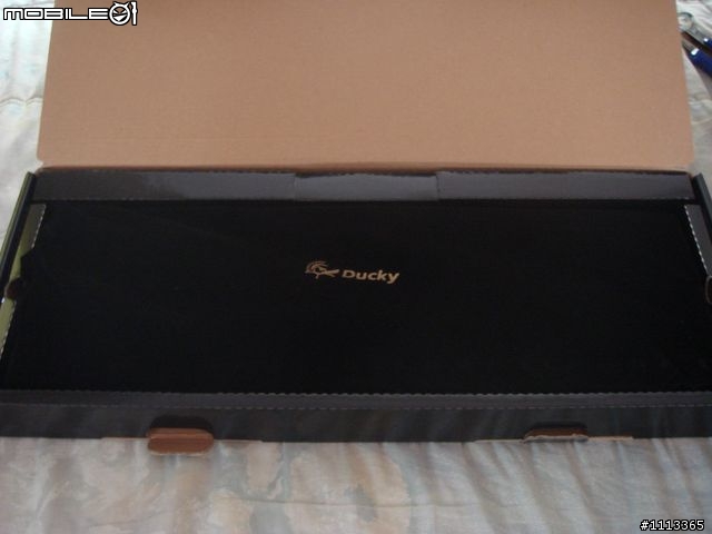 [分享] 亞梭螢幕支架+Ducky DK9008+Roccat Apuri
