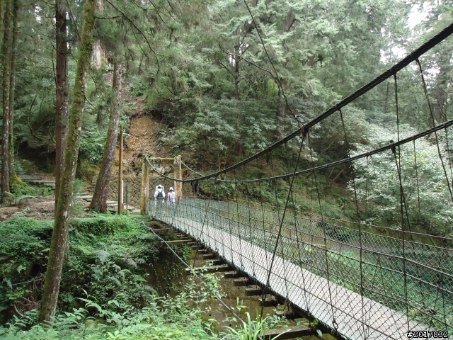 10/23-10/24阿里山之戀(龍銀山步道-祝山日出-對高岳步道)