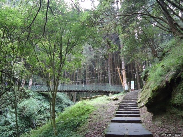 10/23-10/24阿里山之戀(龍銀山步道-祝山日出-對高岳步道)