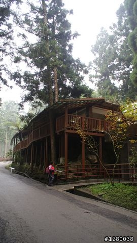 溪頭之旅