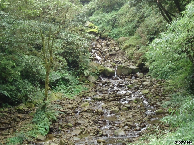 10/23-10/24阿里山之戀(龍銀山步道-祝山日出-對高岳步道)