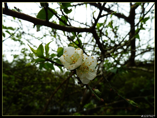 2011.10.16_騎車健行趣-太平至奉天岩煮午餐！