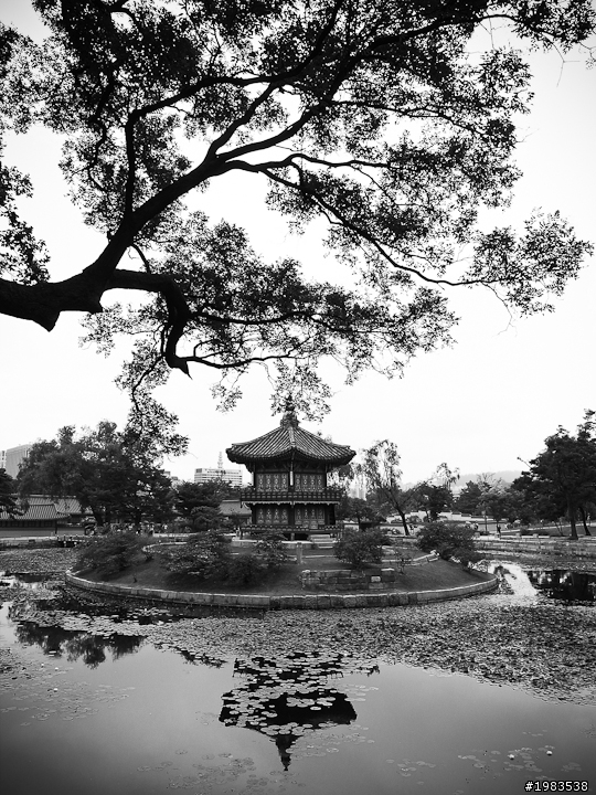 阿妞阿誰唷~帶著GRD到韓國旅行