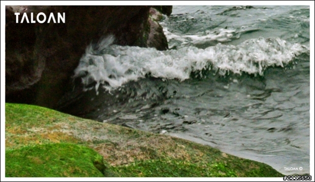 【Nikon 1套組10-30mm鏡頭拍生態】之二