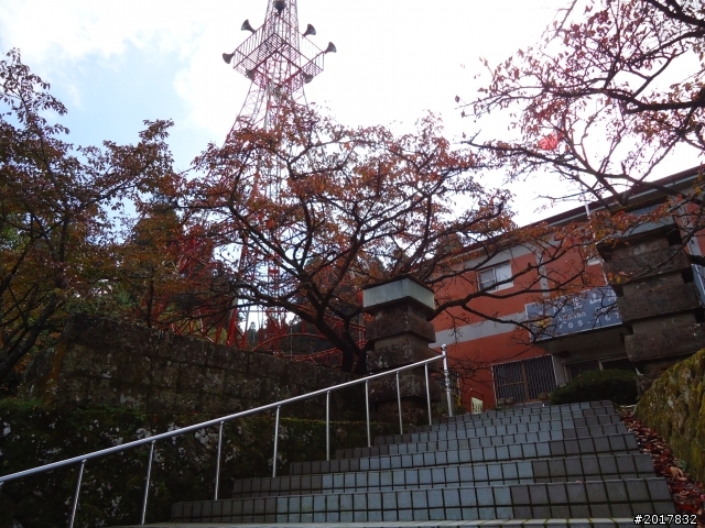 10/23-10/24阿里山之戀(龍銀山步道-祝山日出-對高岳步道)