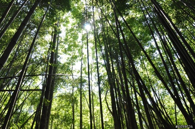 出發總要有個方向  走!我們到司馬庫斯去