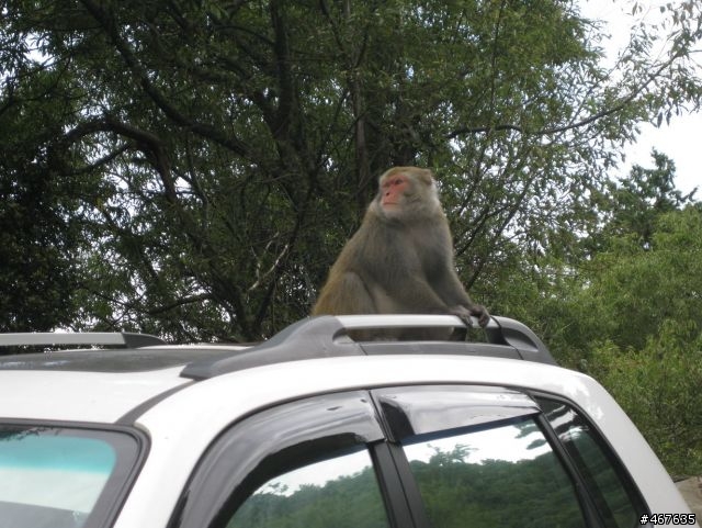 2011-10-01 塔塔加之旅