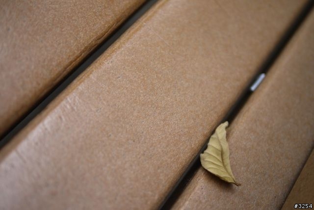Leica DG 25mm F1.4 + Panasonic GF2 香港試相